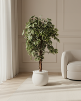Artificial Variegated Ficus Weeping Tree 150cm (5ft)